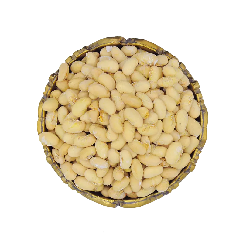 سویا آجیلی