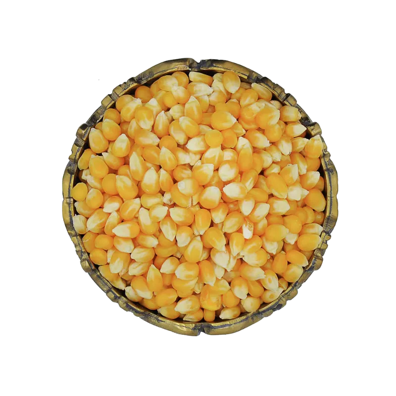 پاپ کورن